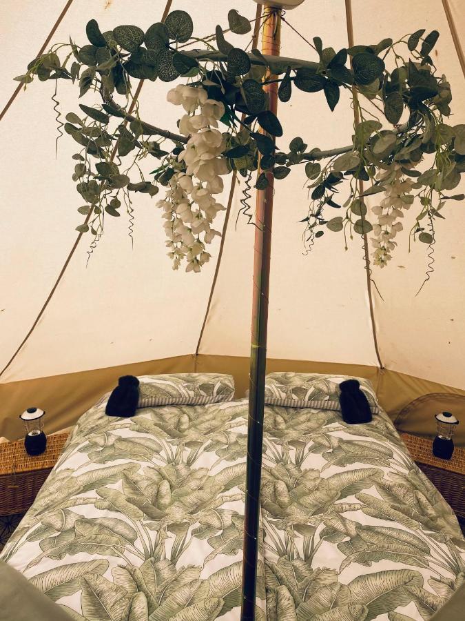 Duneden Belle Glamping Randalstown Esterno foto